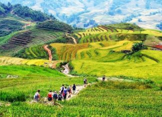 Những Tour du lich trong nước trong ngày nên đi