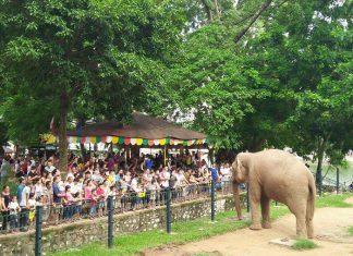 Những điểm hấp dẫn trong ngày lễ quốc khánh mùng 2/9 tại Hà Nội