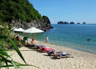 Khám phá hòn đảo Cát Bà có gì thú vị ai cũng thích khi đi du lịch Hạ Long