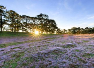 Những lưu ý khi đi du lịch Đà Lạt nhân dịp lễ 2/9