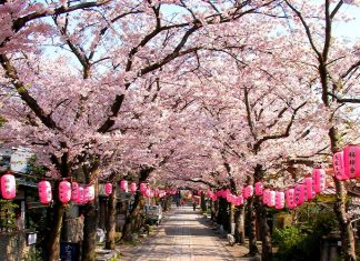 Du lịch tết âm lịch 2020 nên đi đâu?