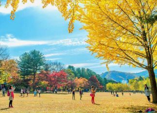 Trải nghiệm thiên đường lãng mạn với cảnh sắc Hàn Quốc vào Thu