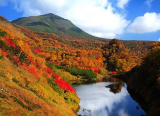 Chiêm ngưỡng Hokkaido vào Thu – nơi đẹp nhất Nhật Bản