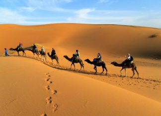 Top những điểm du lịch Dubai làm nao lòng khách du lịch