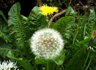 Cẩm nang du lịch Indonesia dành cho người đi lần đầu