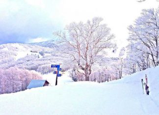 Du lịch Nhật Bản vào mùa Đông có gì hấp dẫn?