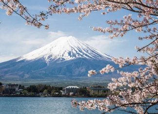 Thích du lịch Nhật Bản vì những điểm đến thanh bình đến lạ!