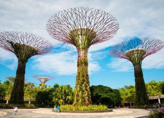 Đi tour du lịch Singapore – Dubai ghé thăm những điểm nổi tiếng nào?