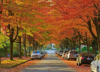 Du lịch Canada mùa Thu trải nghiệm mùa Thu tuyệt vời tại xứ sở lá phong