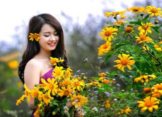 Những lý do bạn nên đi du lịch Đà Lạt nhân dịp nghỉ lễ 2/9