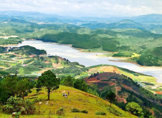 Top 5 điểm đến du lịch Đà Lạt dịp nghỉ lễ 2/9 hấp dẫn nhất