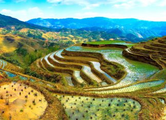 Top 10 địa điểm du lịch Sapa ngắm ruộng bậc thang đẹp nhất