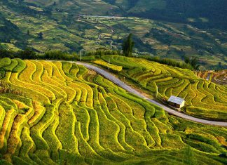 Đi du lịch Tây Bắc ngắm mùa lúa chín tháng mấy?