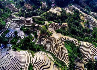 Vẻ đẹp của danh thắng rừng núi Sapa bên ruộng bậc thang