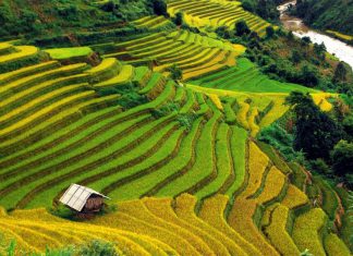 Săn lùng địa điểm ngắm ruộng bậc thang đẹp nhất ở Sapa