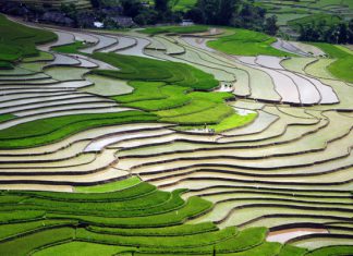Khám phá những địa điểm ngắm ruộng bậc thang đẹp nhất Yên Bái