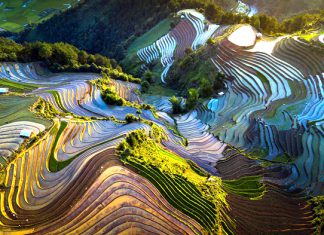 Cảnh quan kỳ vĩ của ruộng bậc thang tại điểm du lịch Sapa