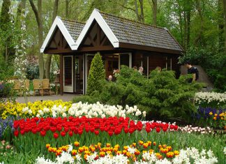 7 trải nghiệm thú vị khi đi du lịch Đà Lạt dịp 2/9