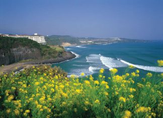 Những địa điểm du lịch Hàn Quốc được nhiều người yêu thích nhất