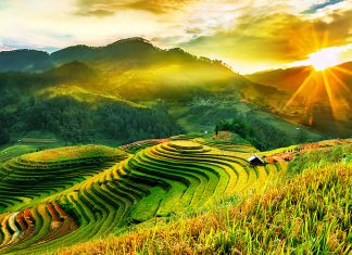 Đi du lịch Yên Bái tháng mấy ngắm vẻ đẹp màu xanh ruộng bậc thang mùa cấy