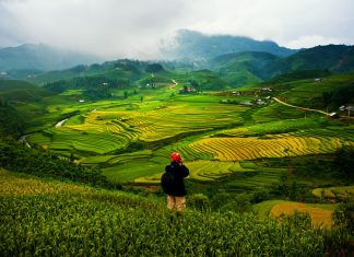 “Bật mí” kinh nghiệm du lịch Yên Bái ngắm ruộng bậc thang chi tiết