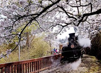 Du lịch Đài Loan chi phí bao nhiêu là đủ?