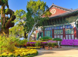 Tham quan chùa Jogyesa – Biểu tượng của nền phật giáo Hàn Quốc