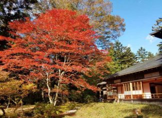 Những lý do nên du lịch Nhật Bản vào mùa Thu