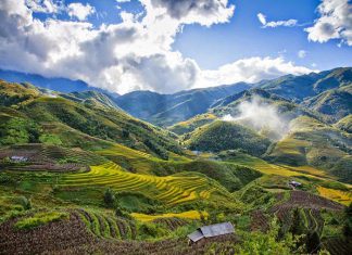 Kinh nghiệm “phượt” Tây Bắc mùa lúa chín khi thuê xe du lịch tự lái