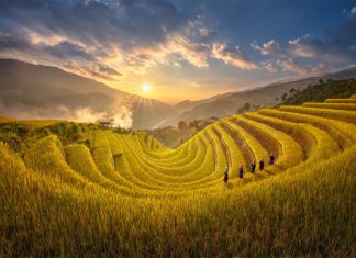 “Ngây ngất” vẻ đẹp du lịch Tây Bắc mùa lúa chín