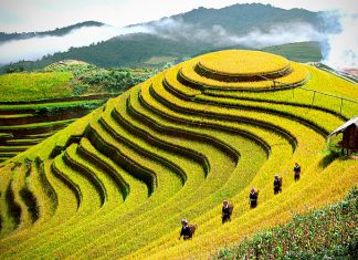 Những trải nghiệm thú vị khi đi du lịch Sapa tháng 9