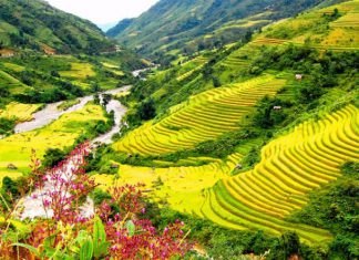 “Cùng anh” khám phá vẻ đẹp Tây Bắc mùa lúa chín chỉ dành cho 2 người