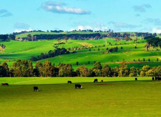 Làm thế nào để có chuyến du lịch Úc an toàn?