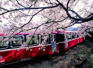 Du lịch Đài Loan mùa hoa Anh Đào: 6 điểm đẹp nhất để đi ngắm