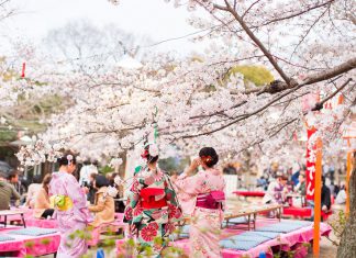 Du lịch Nhật Bản mùa hoa Anh Đào: Khám phá thủ đô Tokyo