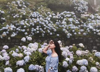 Du lịch Cao Bằng Mùa Thu đến với Suối Lê-nin đẹp như tiên cảnh tou cao bang mua thu