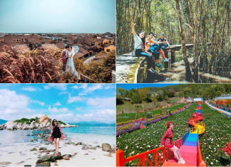 Du lịch mùa thu trong nước không thể bỏ qua Đà Lạt,Hà Nội, Sapa……