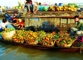 Đâu là điểm đến thú vị nhất trong tour du lịch Cần Thơ tự túc mùa hè? Đâu là điểm đến thú vị nhất trong tour du lịch Cần Thơ tự túc mùa hè?