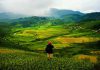 Tour du lịch Sapa, ghé thăm 6 bản làng xinh đẹp như bước ra từ cổ tích