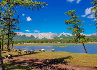 Khám phá Hồ Khovsgol tuyệt đẹp thu hút đông đảo du khách du lịch Mông Cổ Khám phá Hồ Khovsgol tuyệt đẹp thu hút đông đảo du khách du lịch Mông Cổ